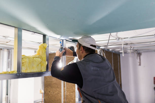 Best Commercial Insulation in Haslet, TX